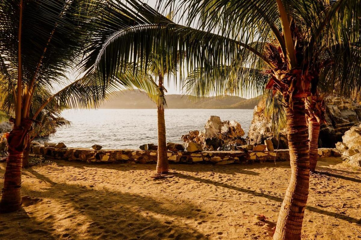 Dream Villa With Private Beach And Catering シワタネホ エクステリア 写真