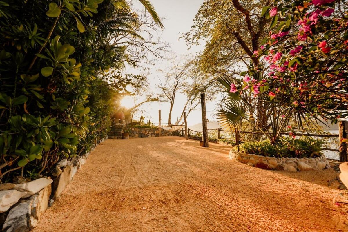Dream Villa With Private Beach And Catering シワタネホ エクステリア 写真